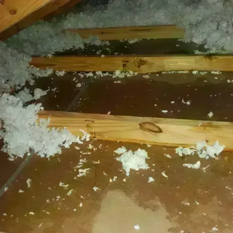 Attic Water Damage in Eddy County, NM